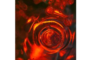 Zerknautschte PET-Flasche