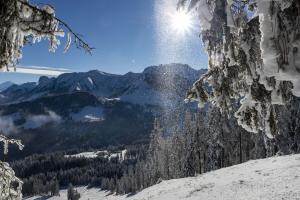 Sonnenschneestern
