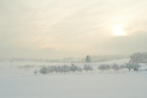 Winter Wonderland