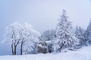 Verschneit im Nebel