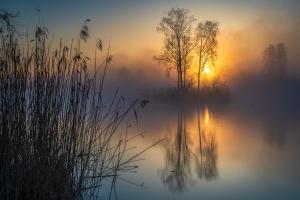 Sonnenaufgang am See mit Nebel Sonnenaufgang am See mit Nebel