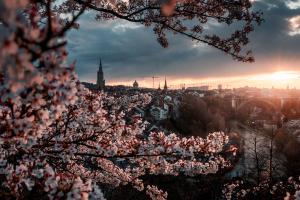 Bern während Kirschblüte 2021