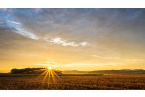 Ein Sommertag erwacht Ein Sommertag erwacht