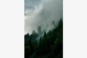 Harder im Nebel Harder im Nebel