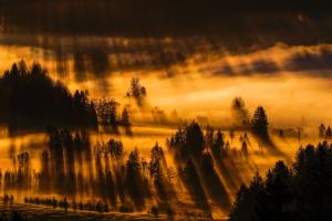 Sonnenaufgang im Moor mit Morgennebel Sonnenaufgang im Moor mit Morgennebel