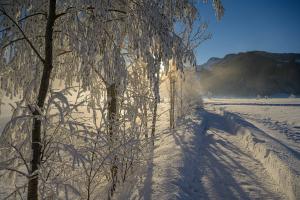 Wintermorgen in Studen am Sihlsee