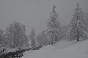 Grauer Schneetag 1