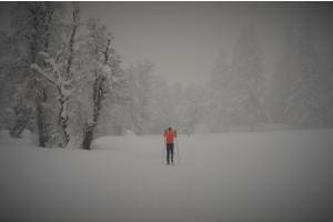 Grauer Schneetag, doch nicht alles grau