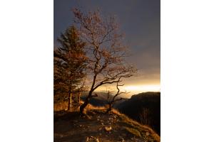 Sonnenaufgang am Creux du Van