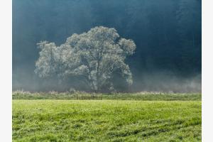 Zwischen Sonne und Nebel