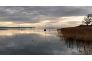 Murtensee Murtensee