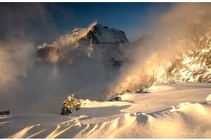 Sonne im Nebel