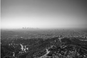 LA Cityscape LA Cityscape