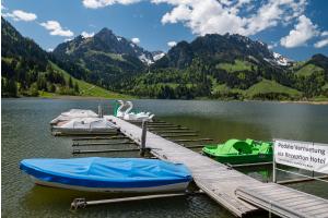 Boot, Pedalo oder Schwan? Am Schwarzsee
