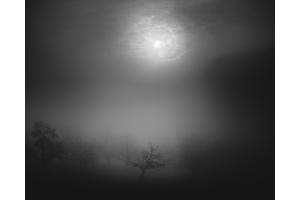 Nebel