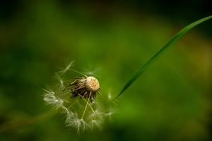 Stille der Natur Stille der Natur