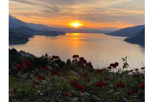 Thunersee Thunersee