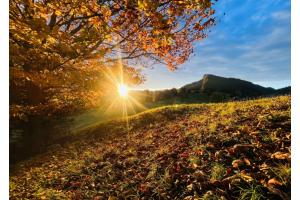 Tageserwachen im Herbst