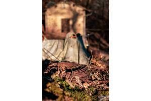 Rost Rot Rost Rot