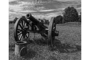 The Cannon