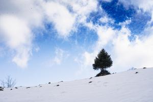 Clouds Clouds