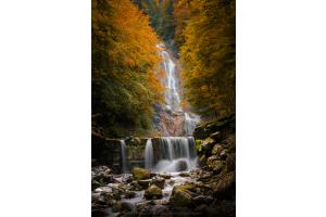 Herbst