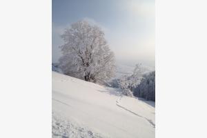 Winterwunderland