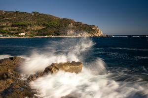 Splash 
