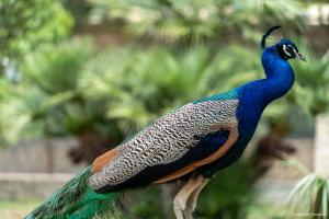 Die wundervollen Farben der Natur
