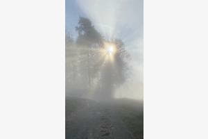 Brouillard Brouillard