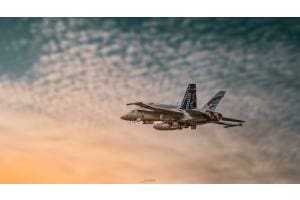 Hornet