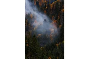 Herbstmantel 
