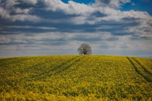 Frühling