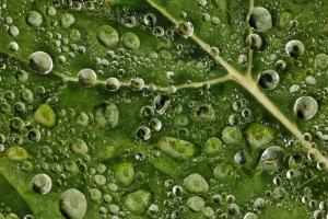 Wassertropfen 2 Wassertropfen 2