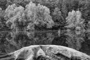 Stilles Wasser Stilles Wasser