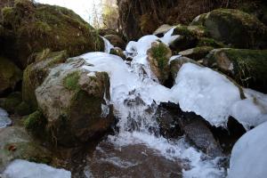 Freirfall Freirfall