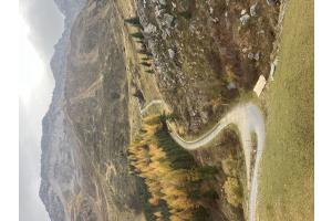 Weg ins Farbenmeer
