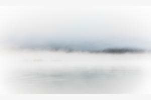Into the mist Into the mist