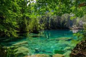 Blausee im Sommer Blausee im Sommer