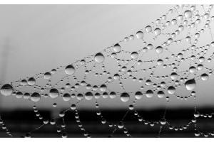 Stille im Netz Stille im Netz