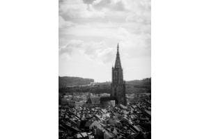 Münster b/w