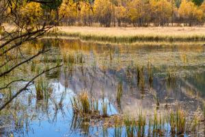 Herbst 1 Herbst 1