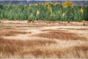 Herbst 3