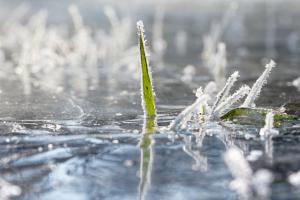 Kleine Wunderwelt