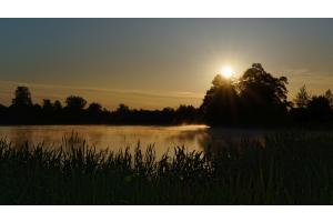 Goldener Morgen Goldener Morgen