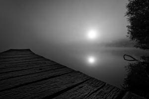 Misty morning