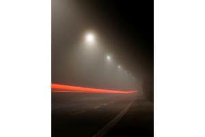 Im Nebel verschwunden Im Nebel verschwunden