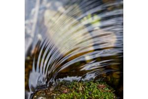 Im Fluss Im Fluss