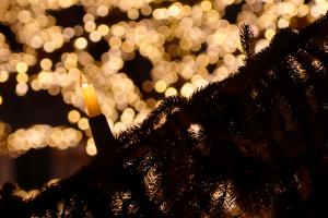 Lichterglanz
