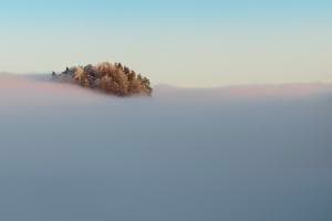 Frozen island